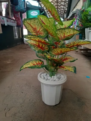 Coloured Plant, Plastic Vase/ Pebble Stones