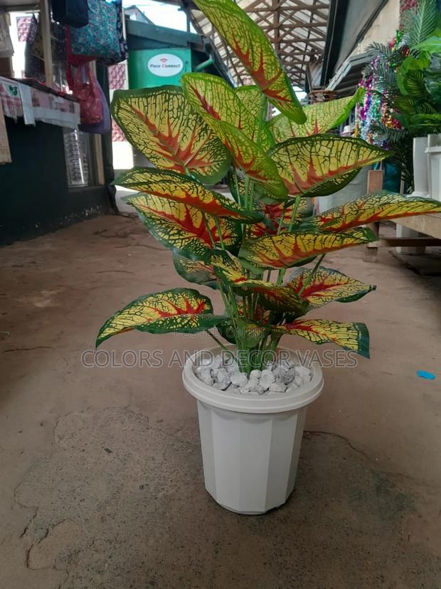 Coloured Plant, Plastic Vase/ Pebble Stones - main view