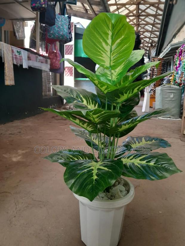 Plant Alone KSH 1200 - main view