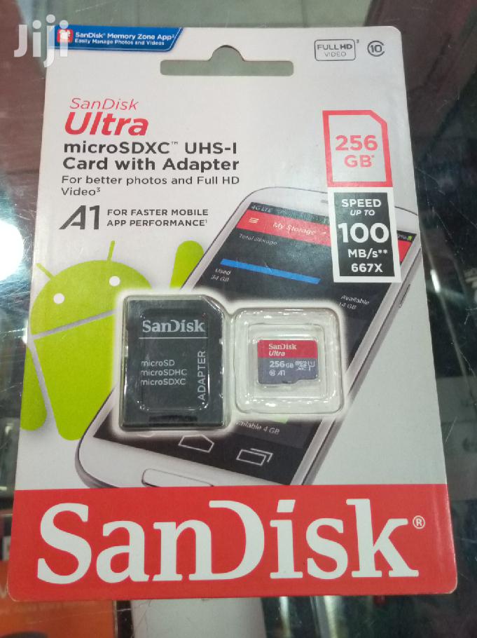 256 GB Sandisk Ultra Micro SDHC Memory Card