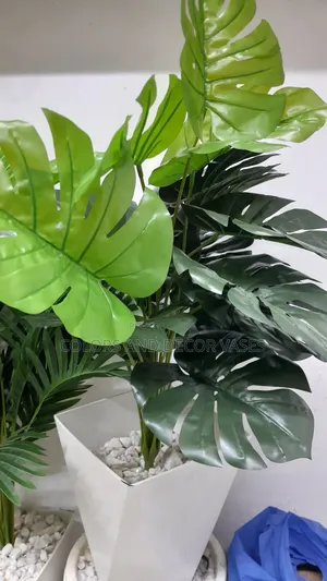 Monstera, Vase Hard Plastic and Stones KSH 2000