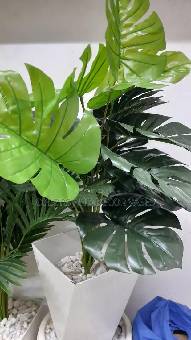 Monstera, Vase Hard Plastic and Stones KSH 2000