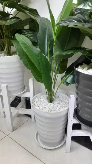 Banana, Plastic Vase,Pebbles 1m
