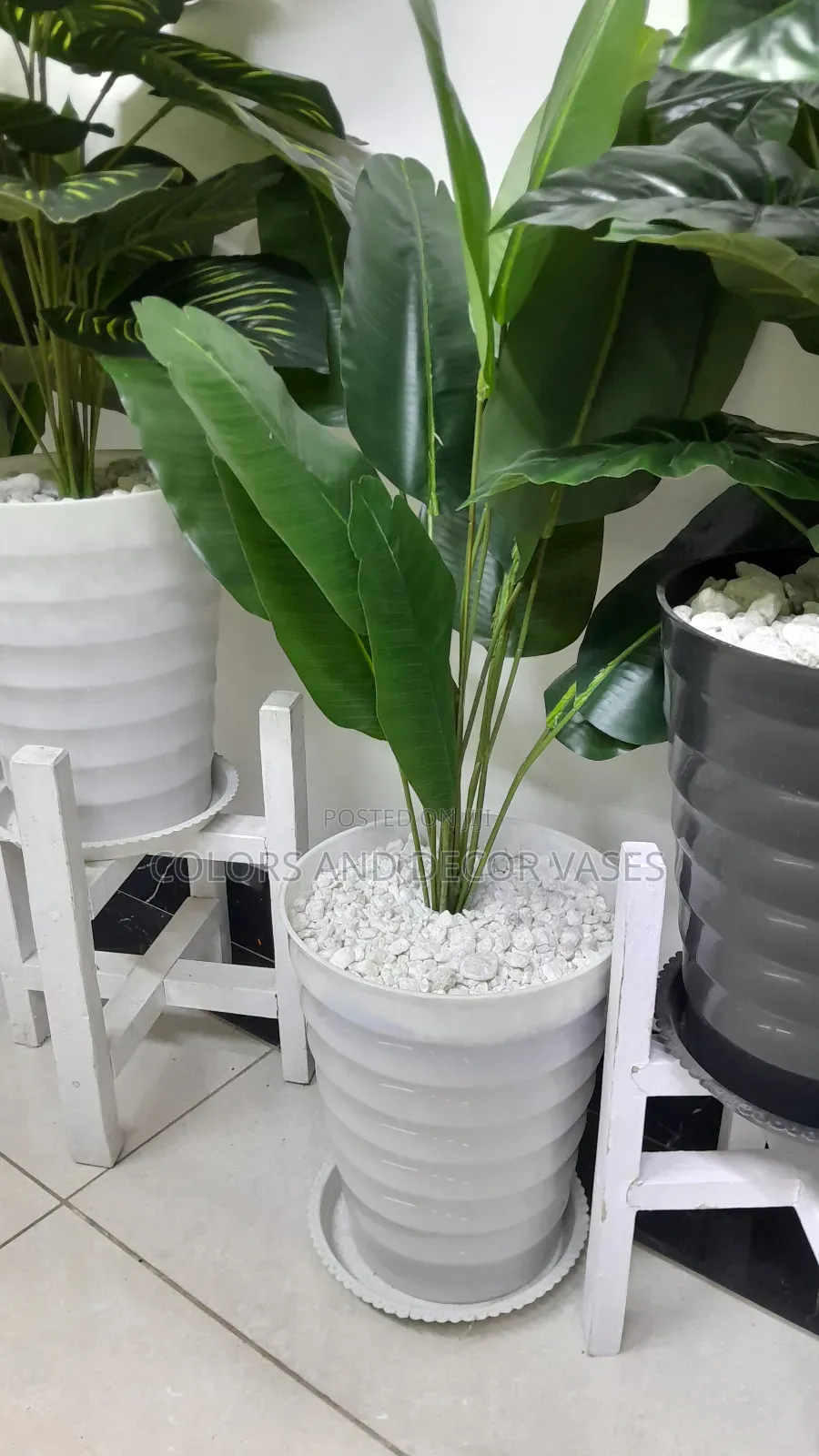 Banana, Plastic Vase,Pebbles 1m
