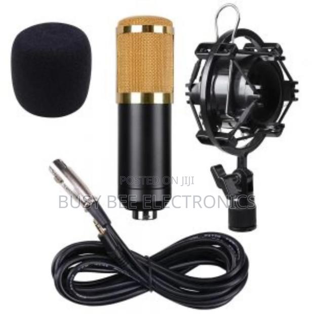 BM 800 Professional Condenser Microphone - main view