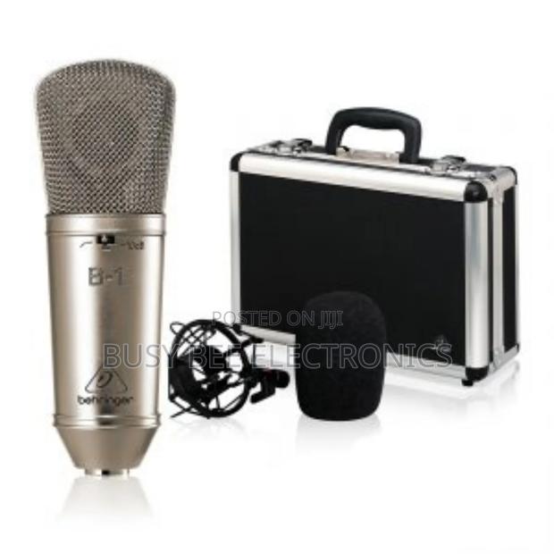 B1 Single Sputtered Large-Diaphragm Studio Condenser - main view