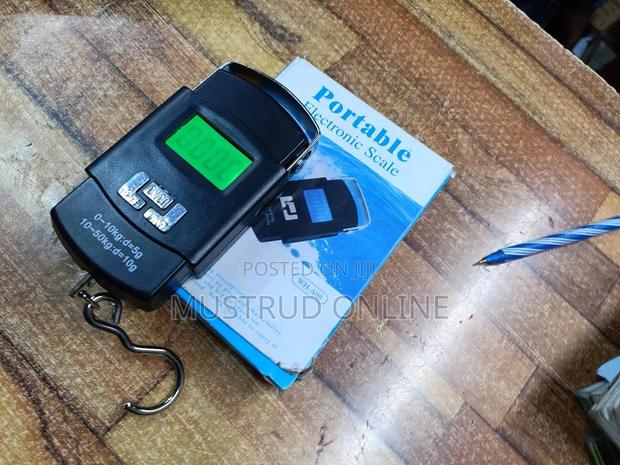 Pocket Scale Hanging - main view