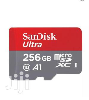 256 GB Sandisk Ultra Micro SDHC Memory Card