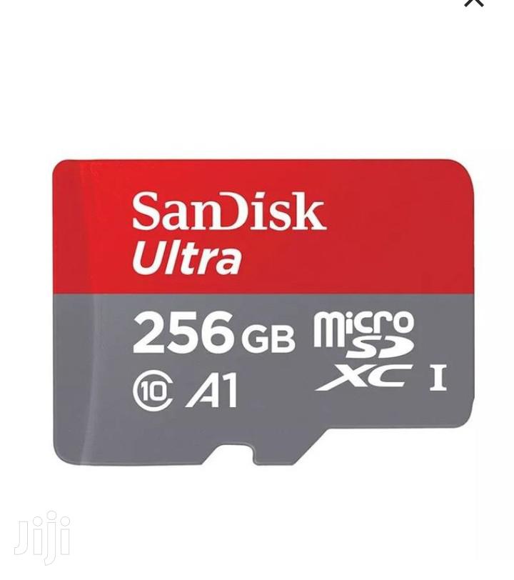 256 GB Sandisk Ultra Micro SDHC Memory Card