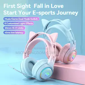 Dual Mode Wireless Headset With Mic