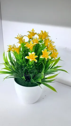 Yellow Flowers Bonsai Plant