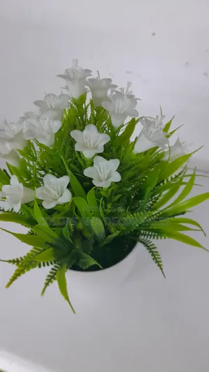 White Bonsai Potted Flowers KSH 600