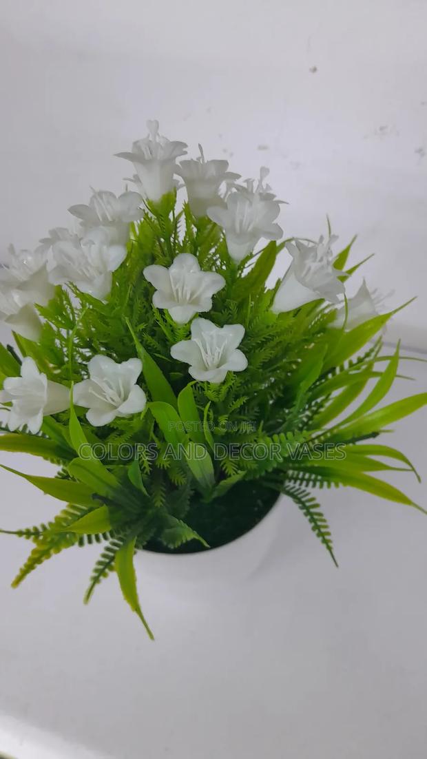 White Bonsai Potted Flowers KSH 600