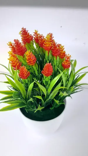 Orange Flowered Bonsai Potted Plants