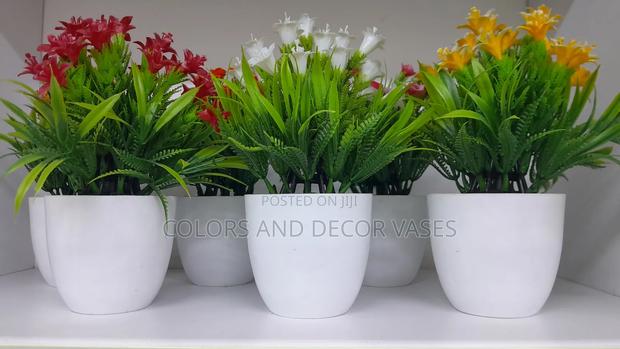 Bonsai Potted Flowers KSH 600 Offer Price