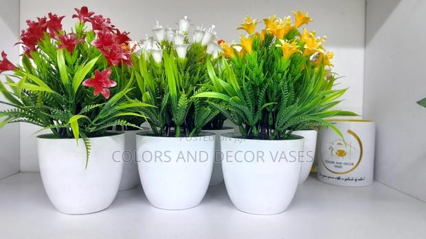 Bonsai Potted Flowers 600 Shillings Available