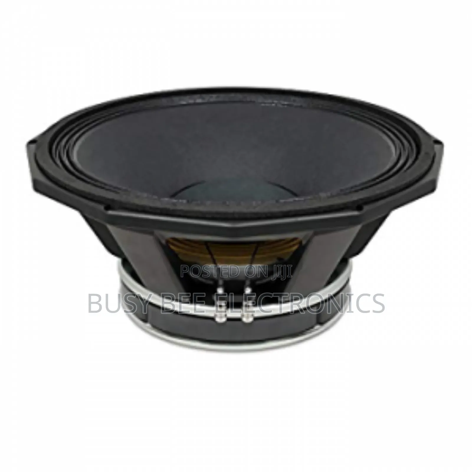 Pd 1852 Naked Speaker