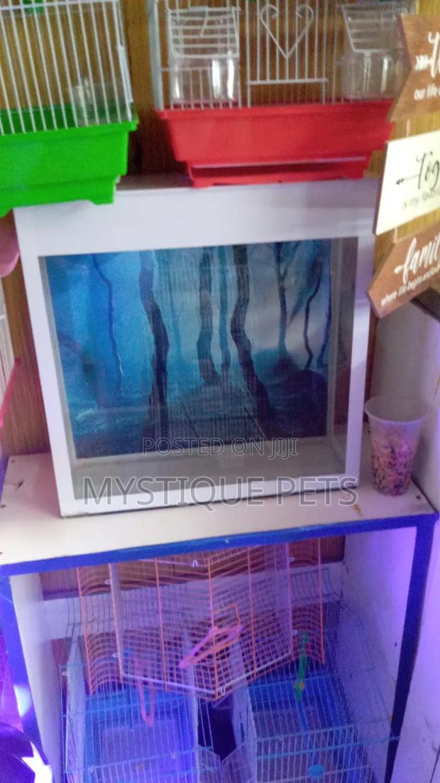 Small Aquarium - main view