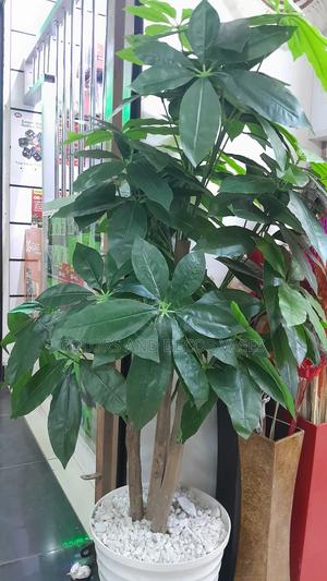 Mango Artificial Plant 1.6m Long on Offer - thumbnail 2