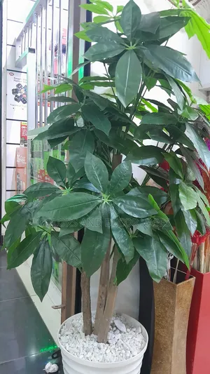 Mango Artificial Plant 1.6m Long on Offer