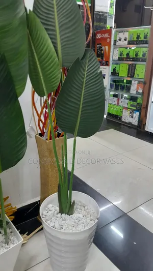White Vase, 3leaves Banana and Pebble Stones