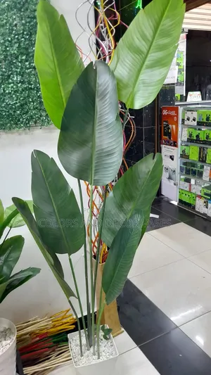 1.7m Long Banana Artificial Plant Plus Plastic Vase/Pebbles