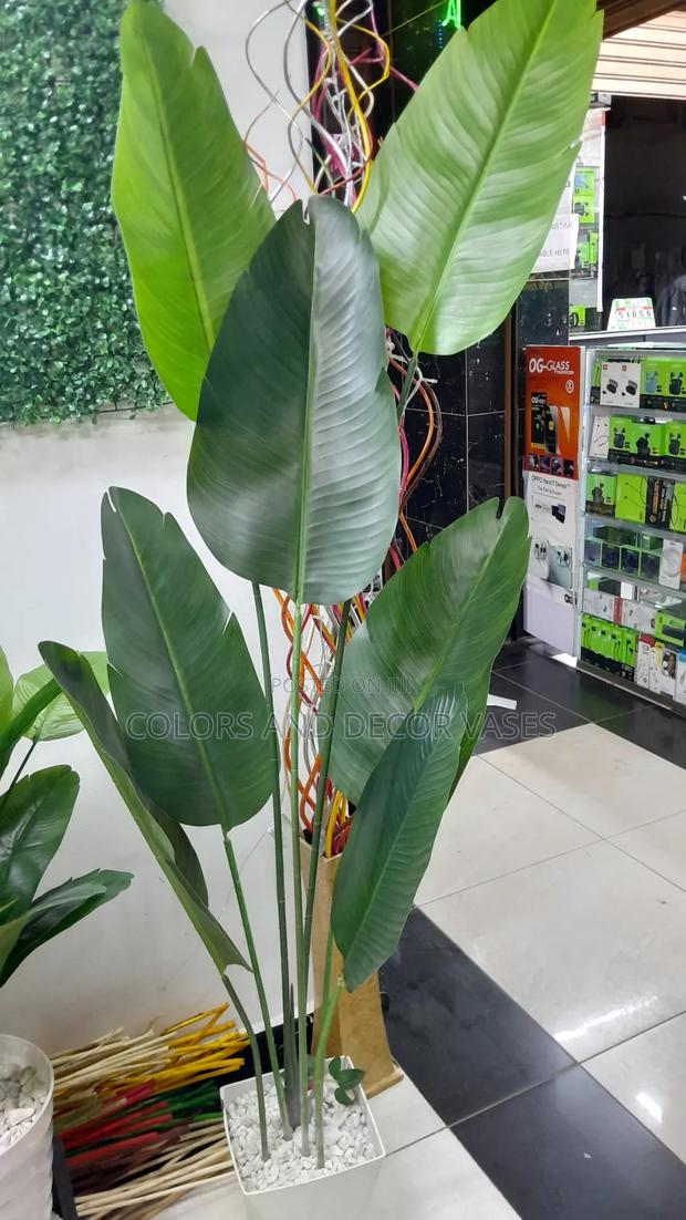 1.7m Long Banana Artificial Plant Plus Plastic Vase/Pebbles