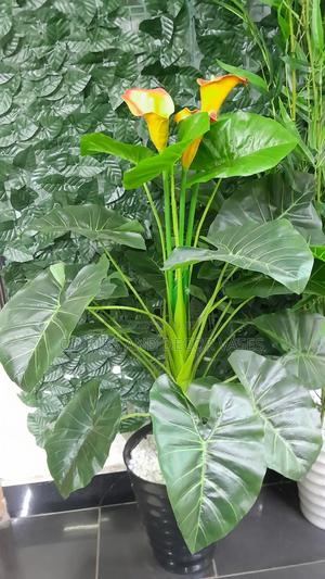 Orange Flowered Plant With Black Vase KSH - thumbnail 2