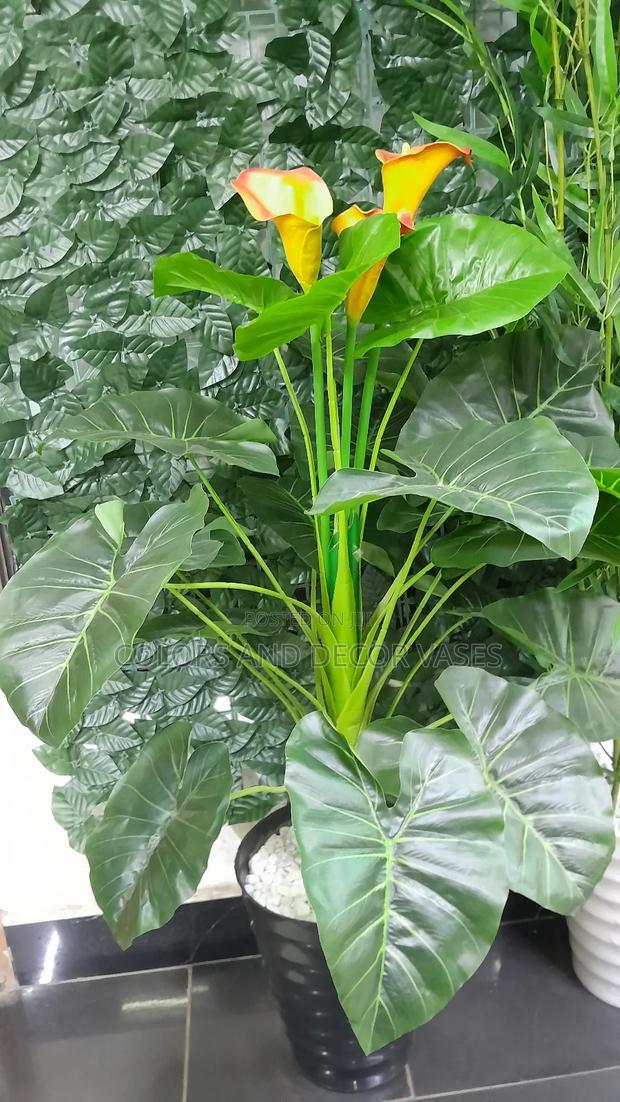 Orange Flowered Plant With Black Vase KSH - main view