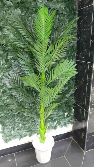 1.6m Long Palm Tree Artificial Offer