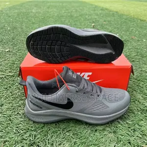 Nike Air Zoom Pegasus