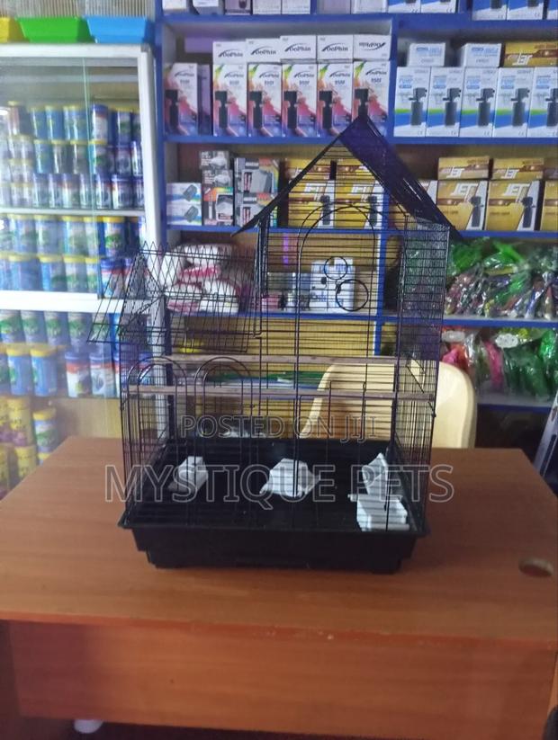 Big Cage for Birds - main view