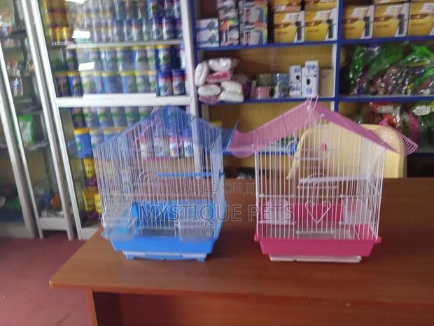 Budgies,Cage - main view