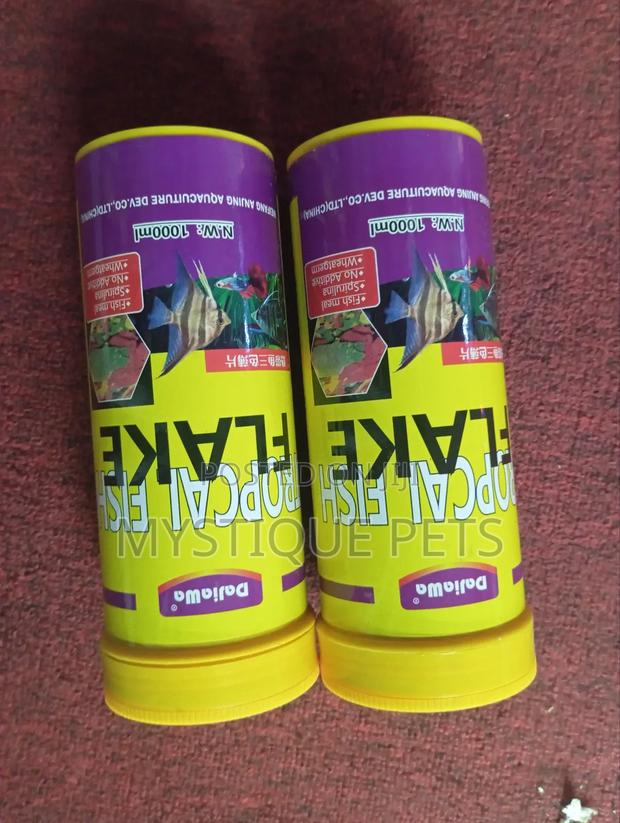 Dajiawa Tropical - main view