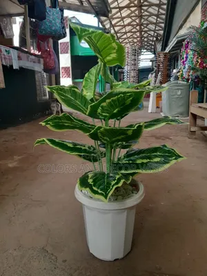 Yellow Green Plant, Vase Plastic and Stones Decorative