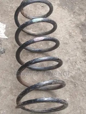 Prado Rear Coil Springs Heavy Duty. Ex