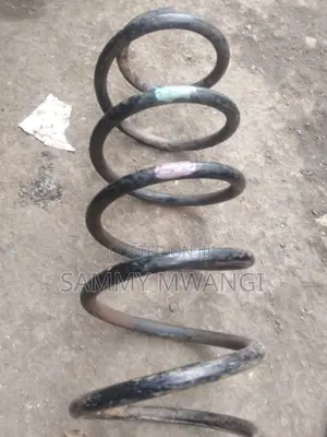 Prado Rear Coil Springs Heavy Duty. Ex