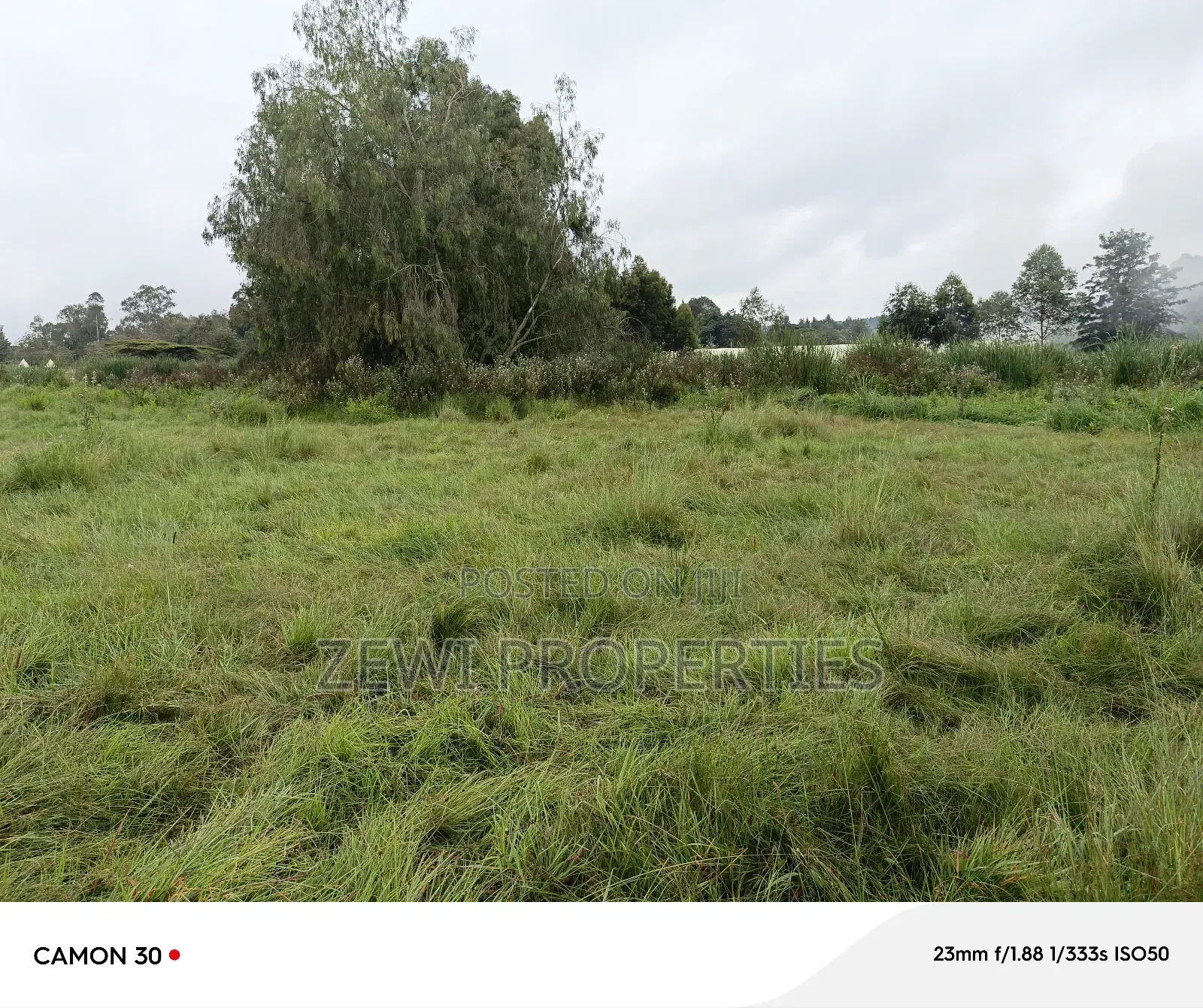 2.3 Acres Karen