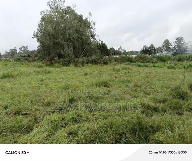 2.3 Acres Karen - thumbnail 4