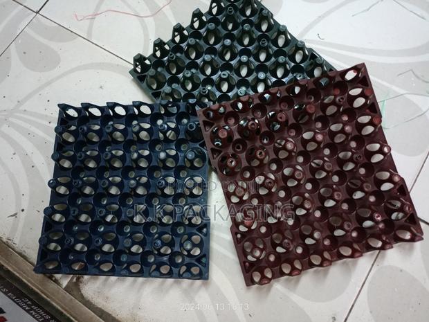 Ventilated Plastic (30pcs ) Trays - main view