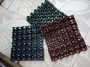 Ventilated Plastic (30pcs ) Trays