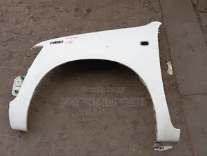 Probox Old Model LHS Fender