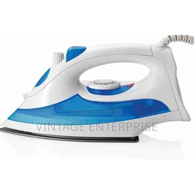 Premier Steam Iron Box °° - main view