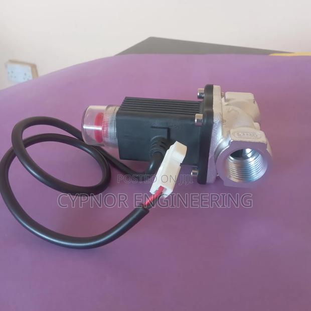 Dn 15 Valve for LPG Applications - main view