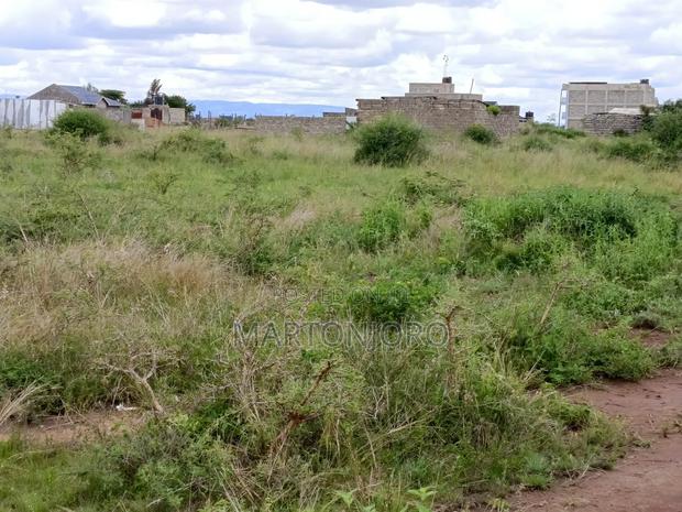 Thika Landless 100*100 - thumbnail 2