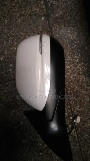 Side Mirror With Indicator