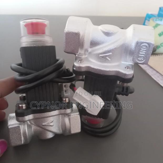 LPG Solenoid Valve Dn15