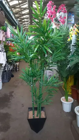 4bamboo Sticks With Vase and Pebble Stones