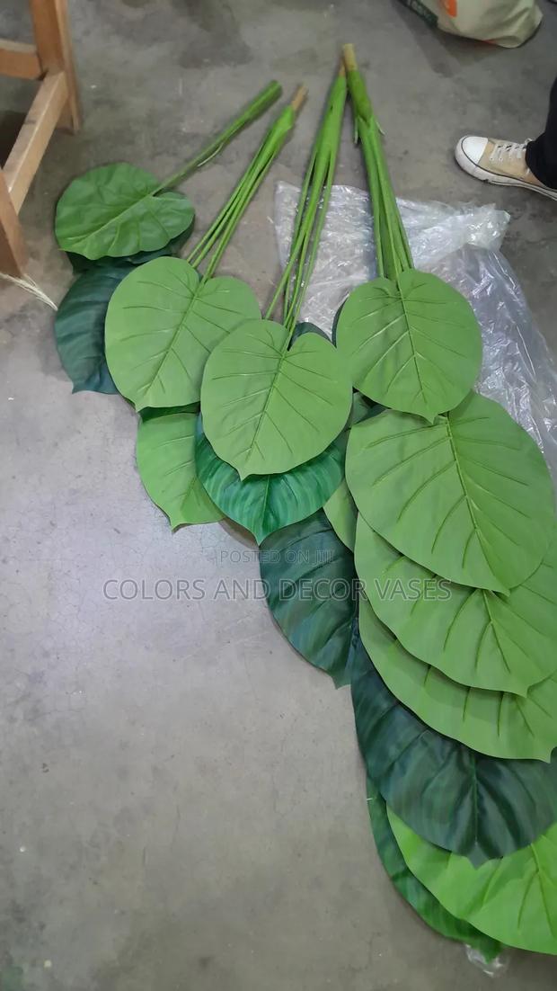 1.6m Plant Alone Is KSH - main view