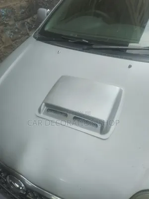 Silver Bonnet Hood Scoop